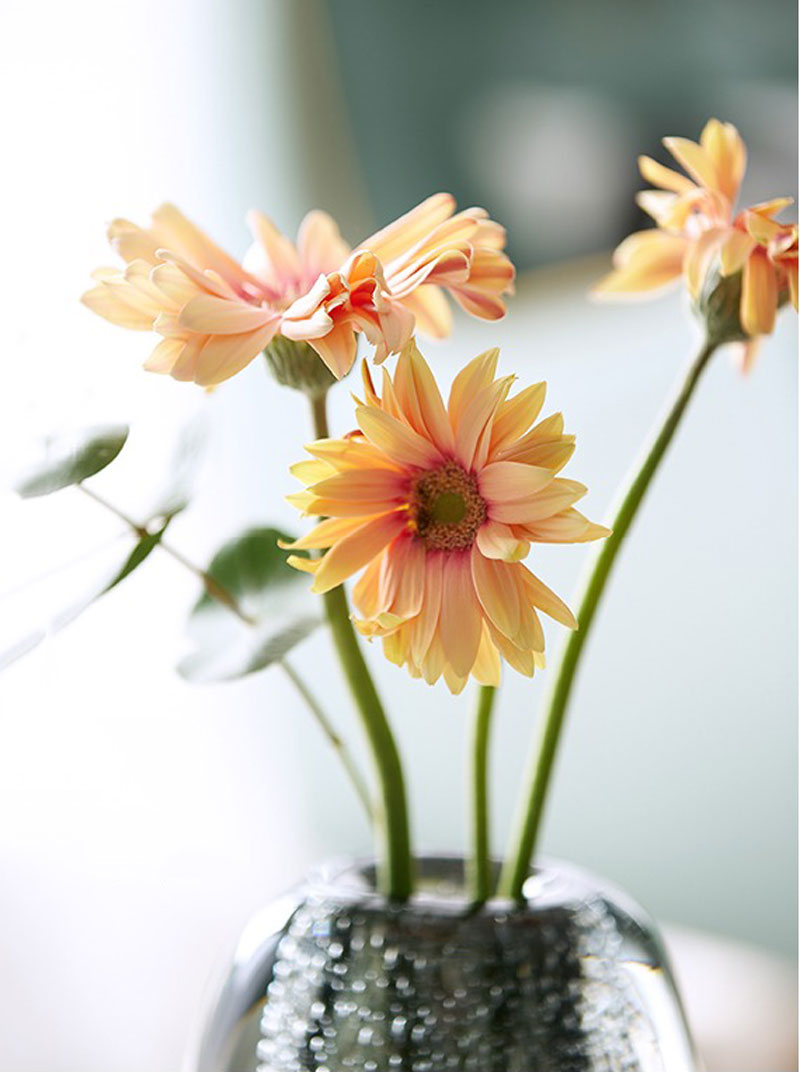 Aura Lux Crystal Silhouette Art Vase | 3CARATS