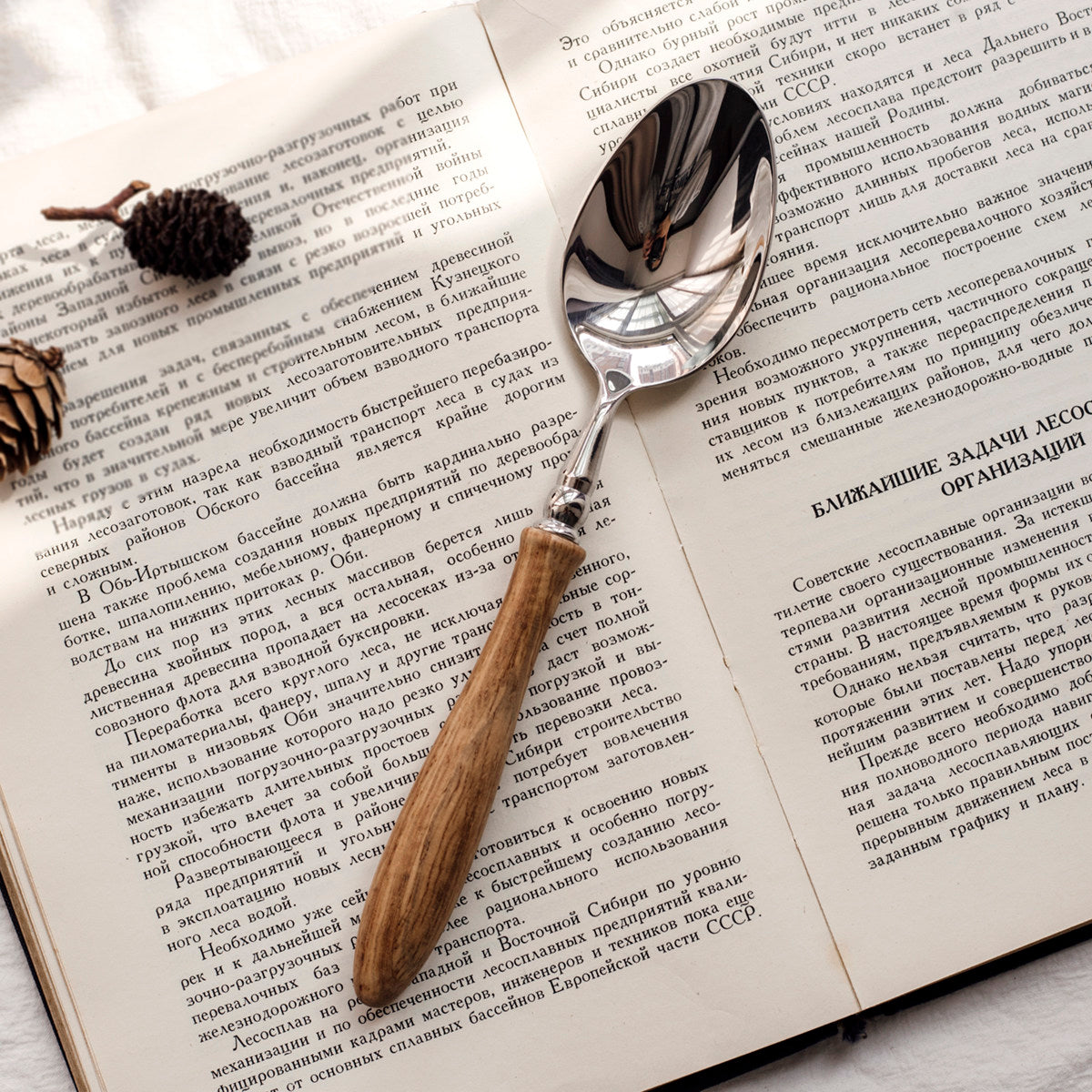 Vintage French Luxury Wooden Handle Cutlery Set | 3CARATS